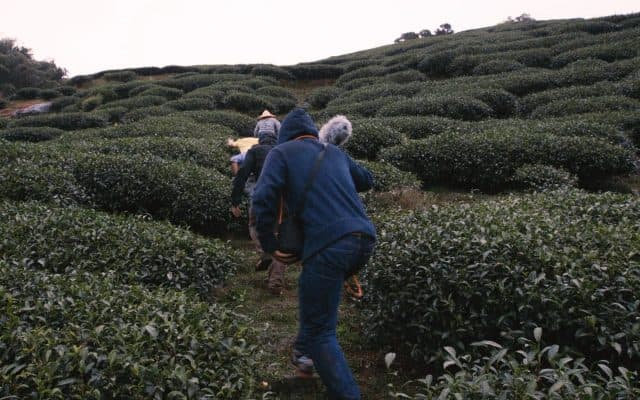 未顯影：影像的寄身與媒介
