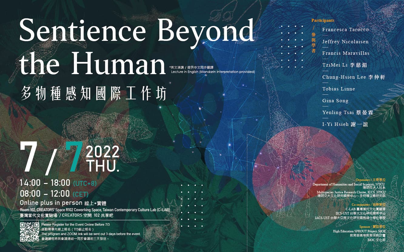 Sentience Beyond the Human