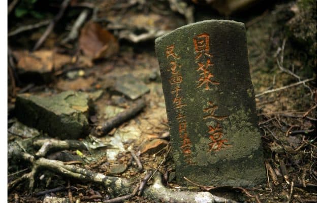 規訓的星系Ｃ：陸軍「白色恐怖」的歷史圖像