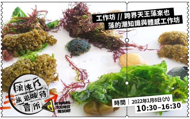 跨界天王藻來也──藻的潮知識與體感工作坊